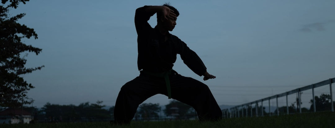 Cours d'arts martiaux : Viet Vo Dao, Vo Thuat Vietnam, Vo Co Truyen, Thanh Long, Vovinam