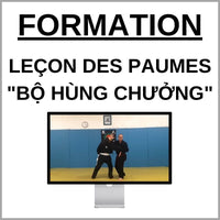 Viet Vo Dao - Leçon des paumes : Bộ Hùng Chưởng