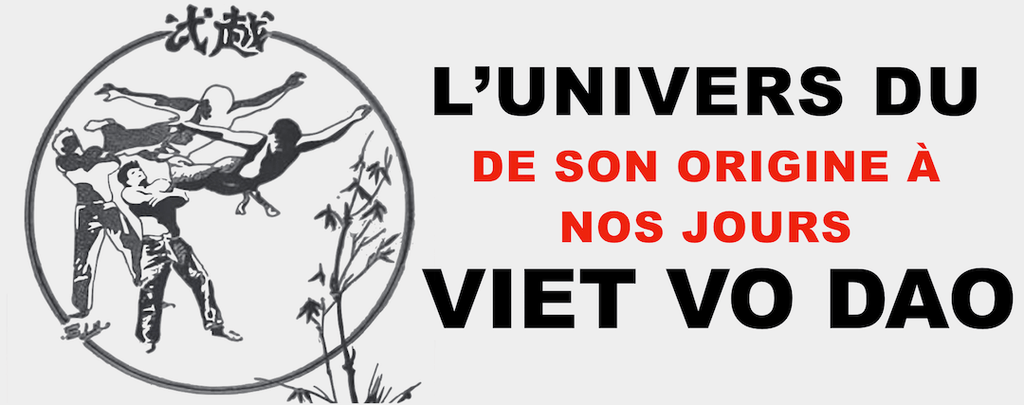 Origine du Việt Võ Đạo : l'histoire de l'art martial vietnamien