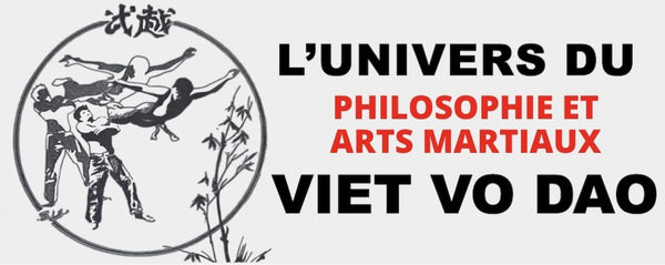 La philosophie dans les arts martiaux : la Voie du Việt Võ Đạo