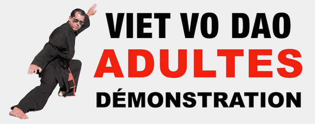Viet Vo Dao démonstration Adultes