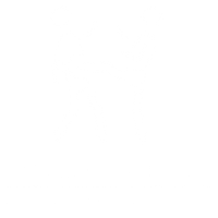 Cours en ligne et équipements pour la pratique des Arts Martiaux Vietnamiens et de la Self Défense
