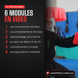 Programme du cours de double éventail : 6 modules vidéo, des mouvements de base aux applications martiales