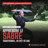 Cours de sabre en ligne en précommande, sortie janvier 2027 : apprendre le sabre traditionnel du Việt Võ Đạo