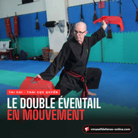 Double éventail Tai Chi : Pratique idéal pour les arts interne - François LAJOIE