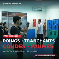 Pack 4 leçons Bộ du Việt Võ Đạo en vidéo : poings marteaux, tranchants de main, coudes et paumes