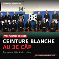 Pack passages de grade Việt Võ Đạo en vidéo : de la ceinture blanche au 3e Cấp