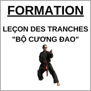Formation Việt Võ Đạo - Bộ Cương Đao - VMA Self Défense
