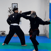 Formation en ligne de Việt Võ Đạo - Ceinture Blanche à 1er Cấp - VMA Self Défense