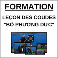 Leçon des coudes "Bộ Phương Dực" - Viet vo Dao ∣ VMA Self Défense ONLINE