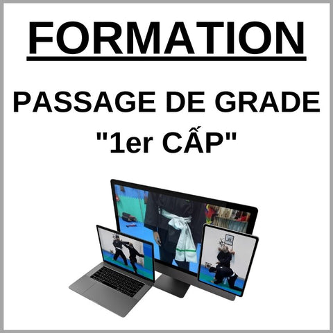 Formation passage de grade Viet Vo Dao ∣ VMA Self Défense Online