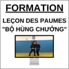 Viet Vo Dao - Leçon des paumes : Bộ Hùng Chưởng