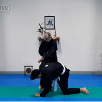 Apprendre le Việt Võ Đạo - Ceinture Blanche à 1er Cấp - VMA Self Défense