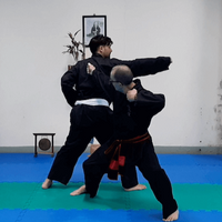 Passage de grade Việt Võ Đạo - Ceinture Blanche à 1er Cấp - VMA Self Défense